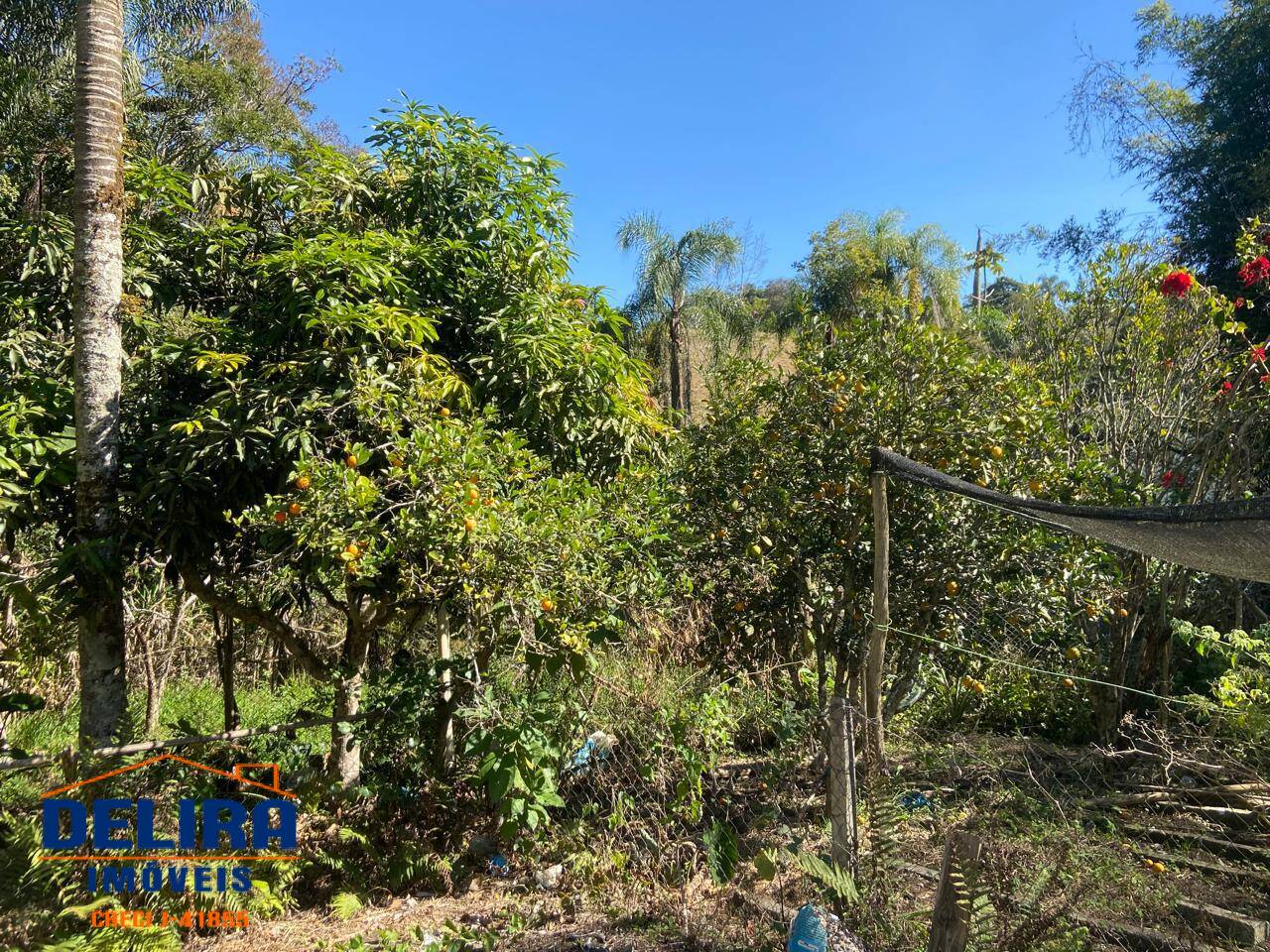 Chácara, 4 quartos, 980 m² - Foto 12