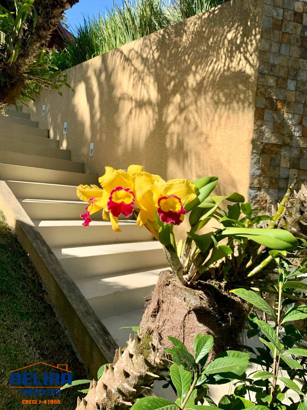 Casa, 5 quartos, 620 m² - Foto 12