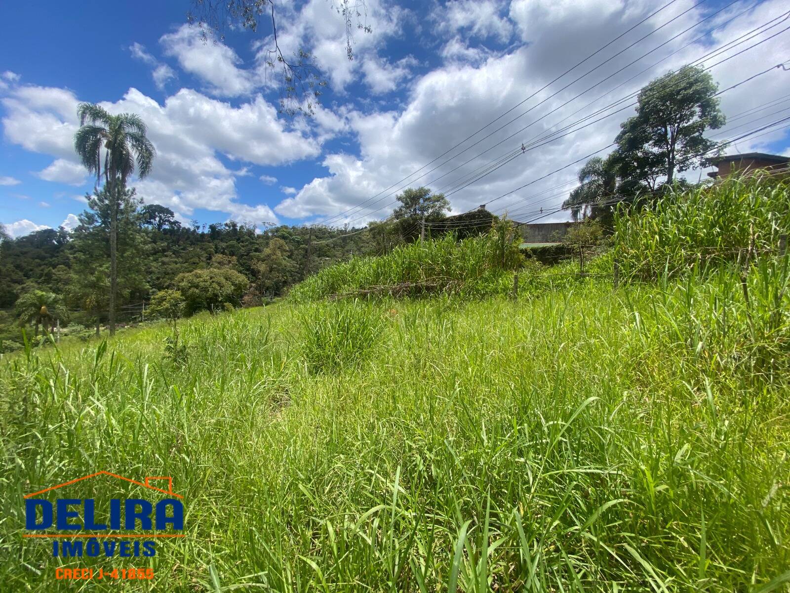 Terreno, 2587 m² - Foto 3