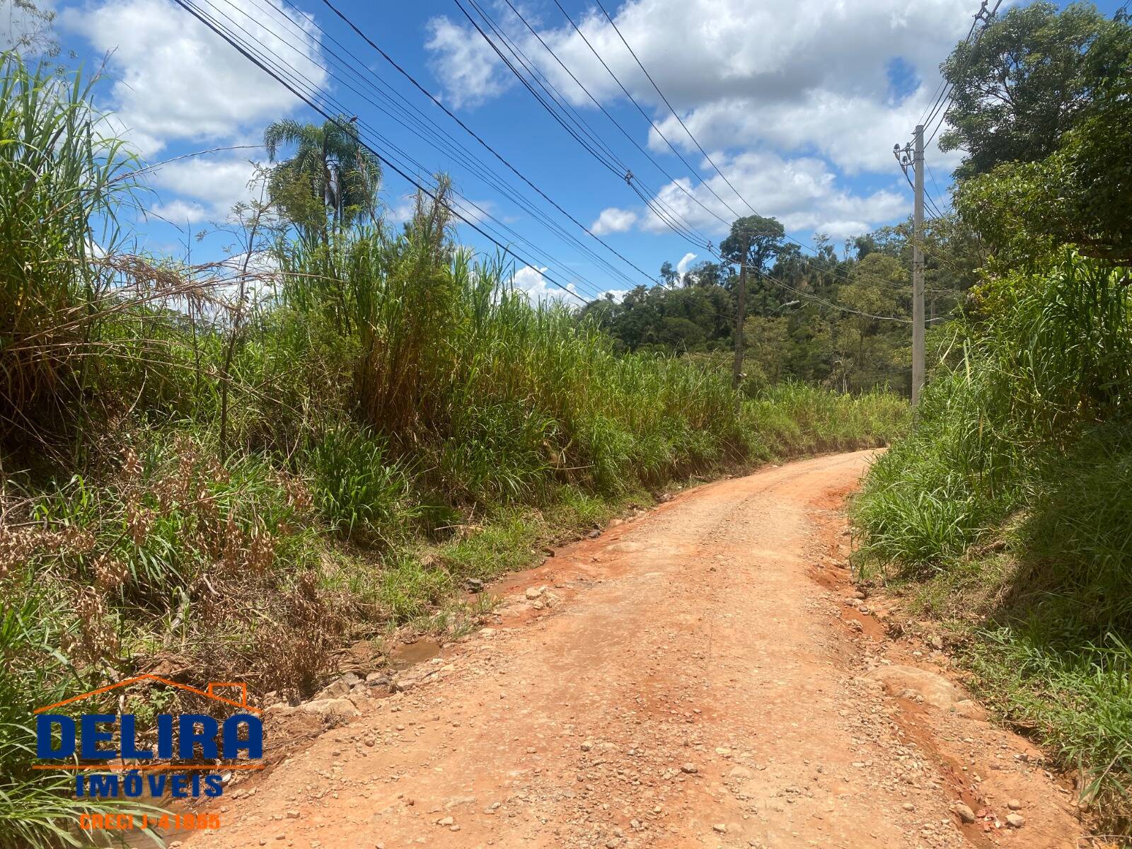 Terreno, 2587 m² - Foto 10