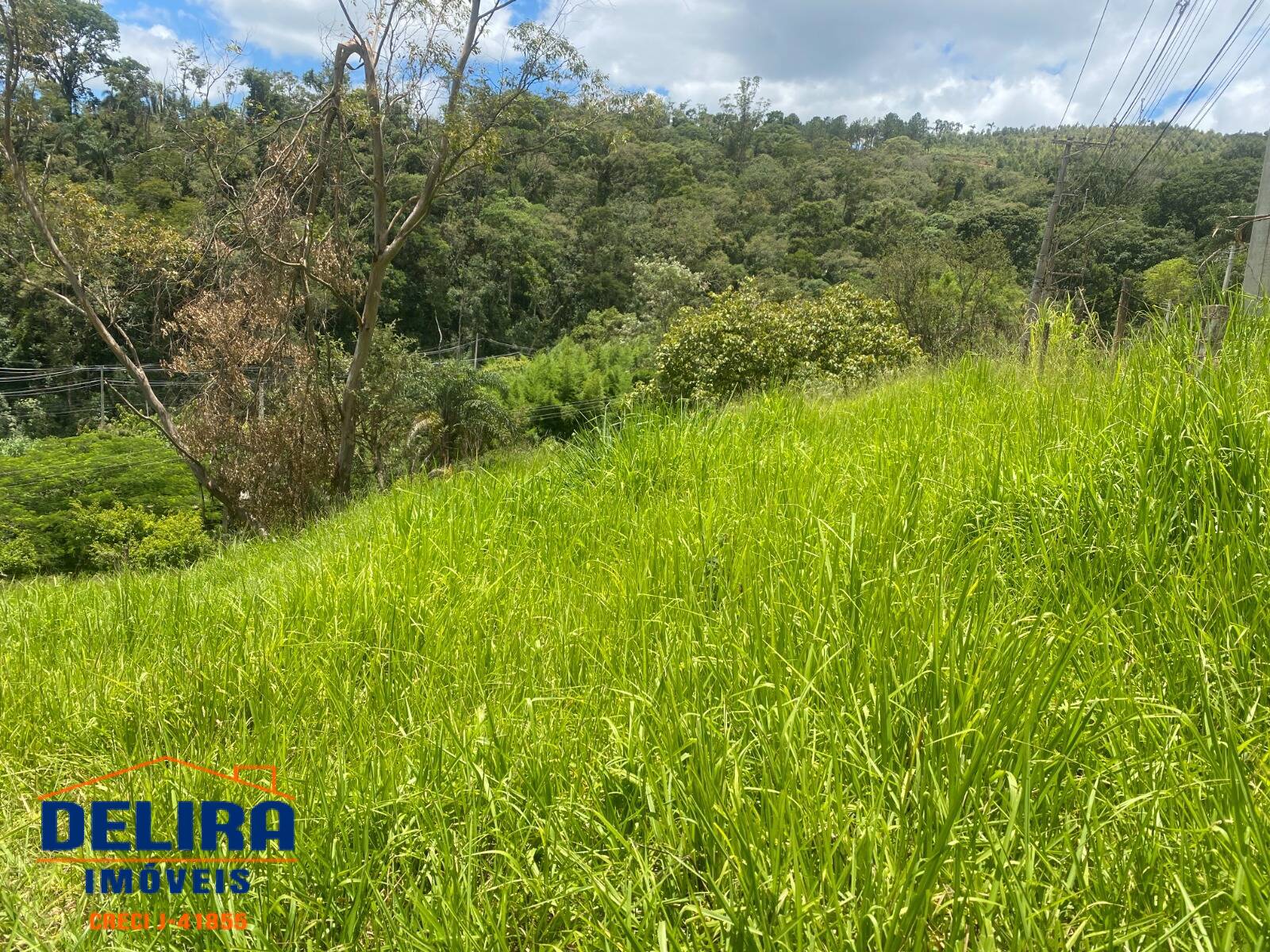 Terreno, 2587 m² - Foto 13