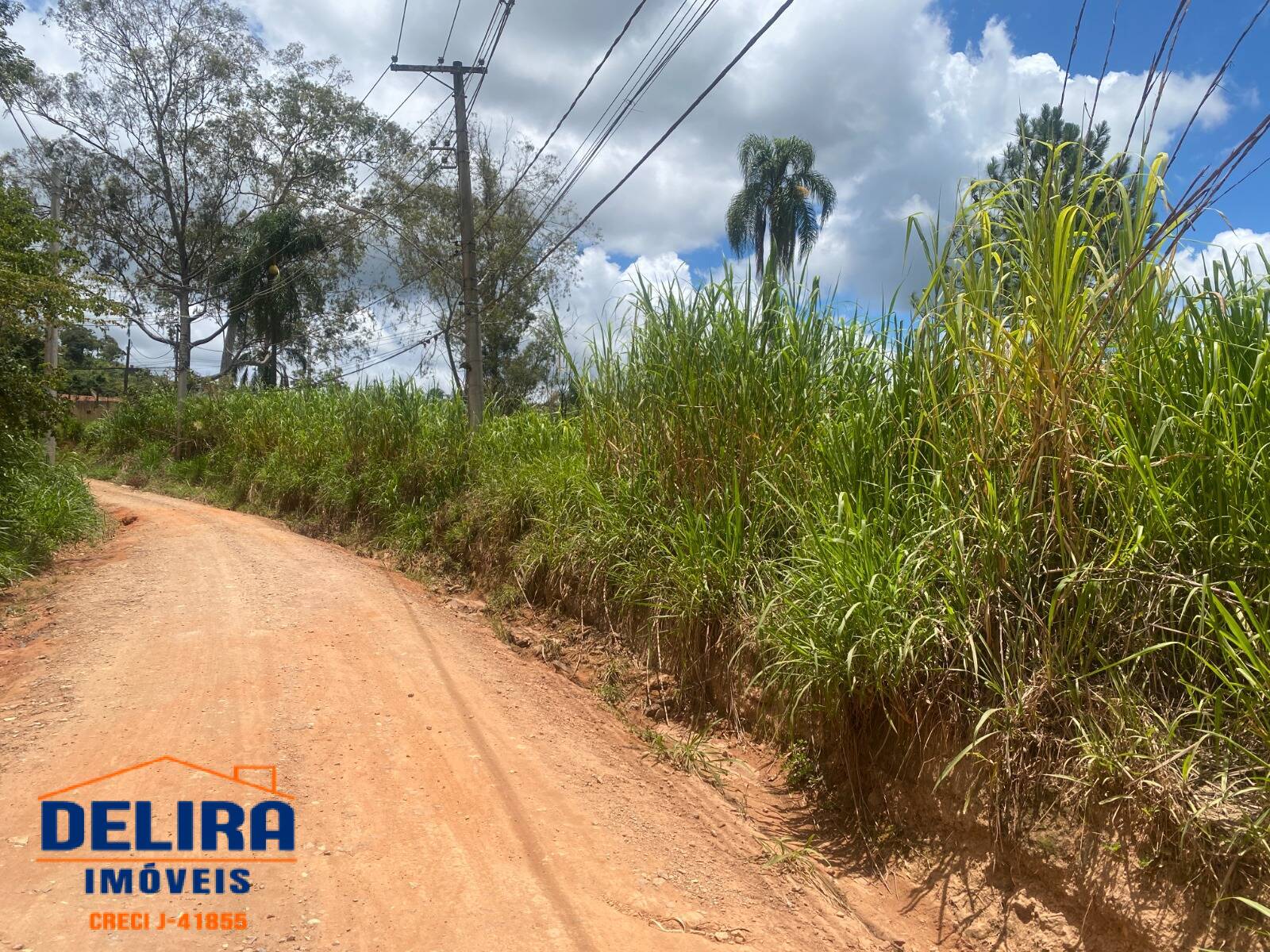 Terreno, 2587 m² - Foto 15