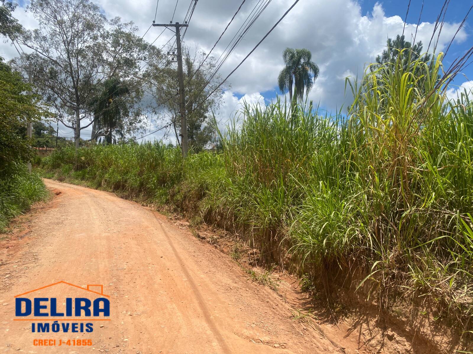 Terreno, 2587 m² - Foto 16