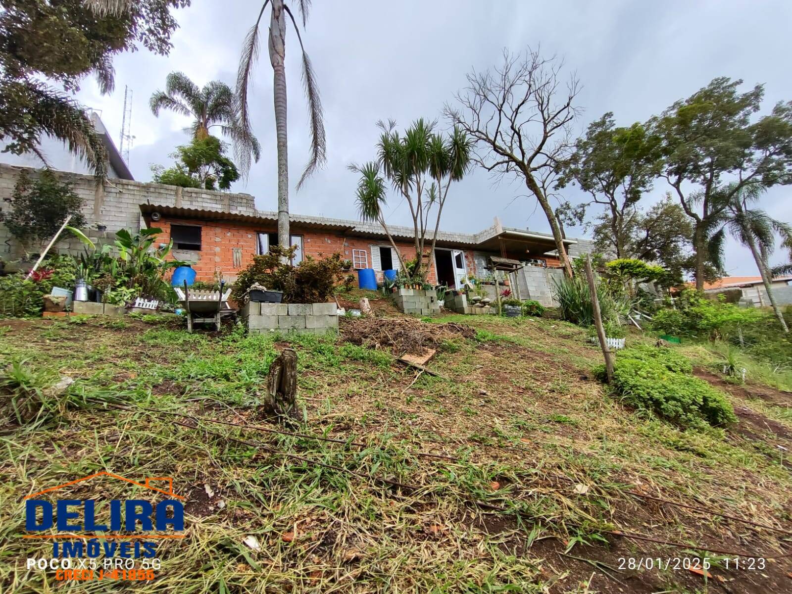 Sítio, 2 quartos, 785 m² - Foto 10