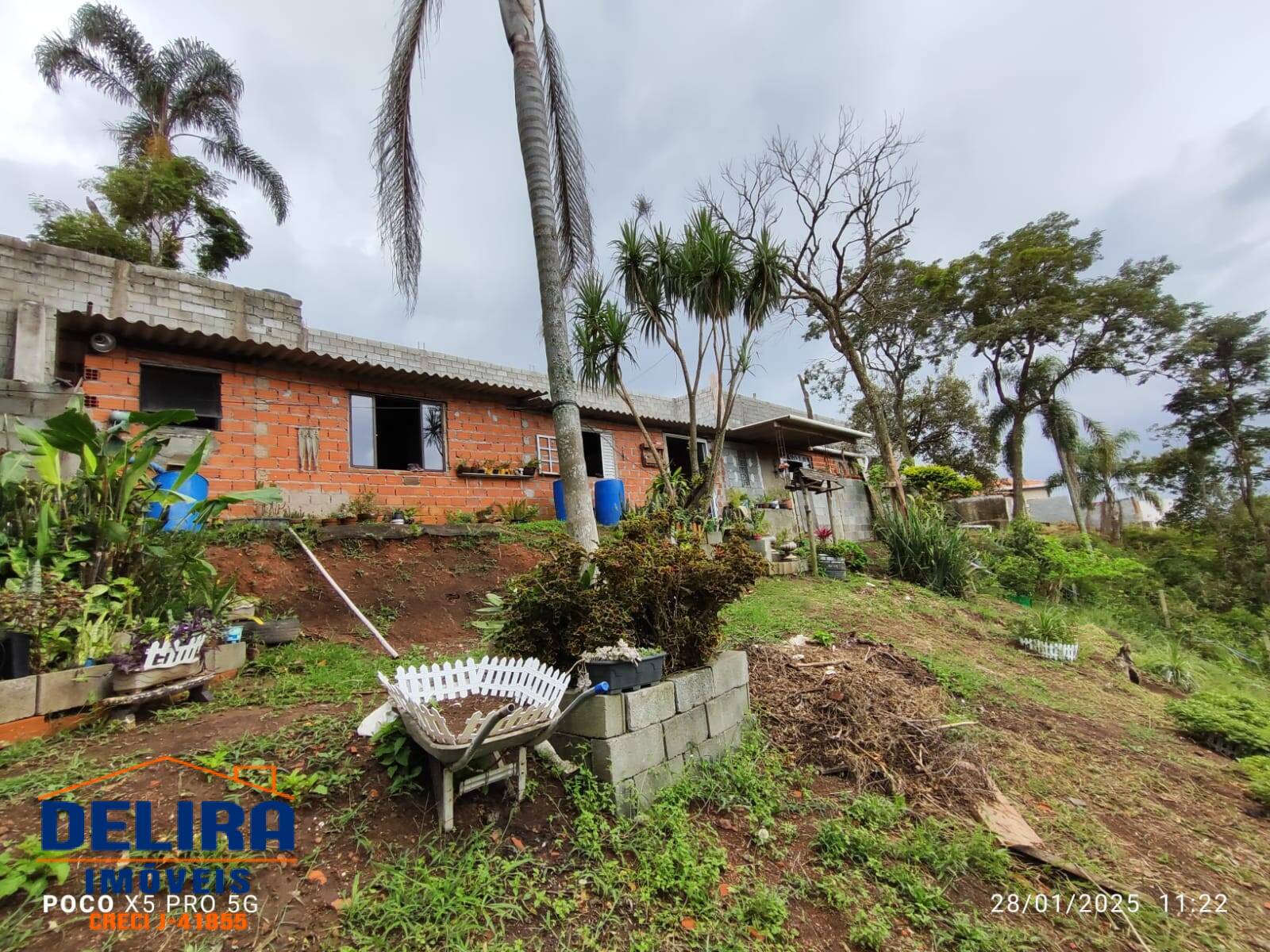 Sítio, 2 quartos, 785 m² - Foto 9