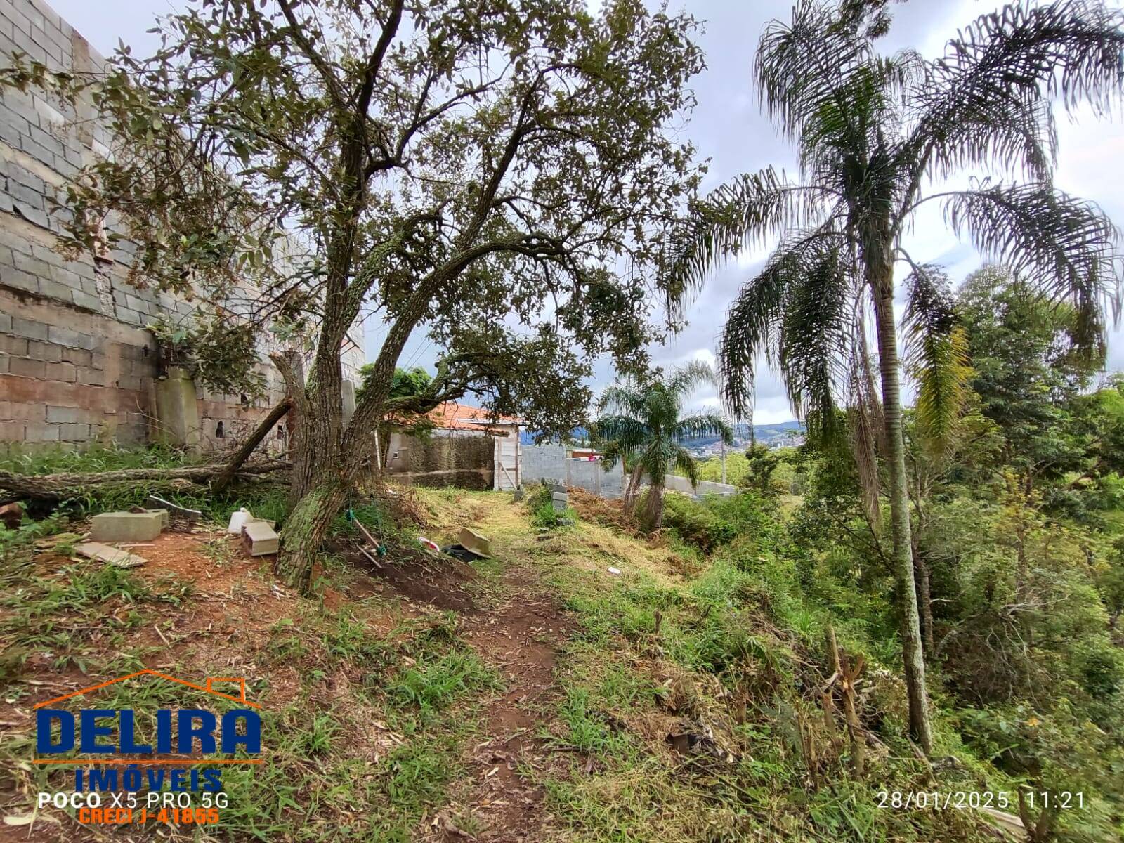 Sítio, 2 quartos, 785 m² - Foto 2