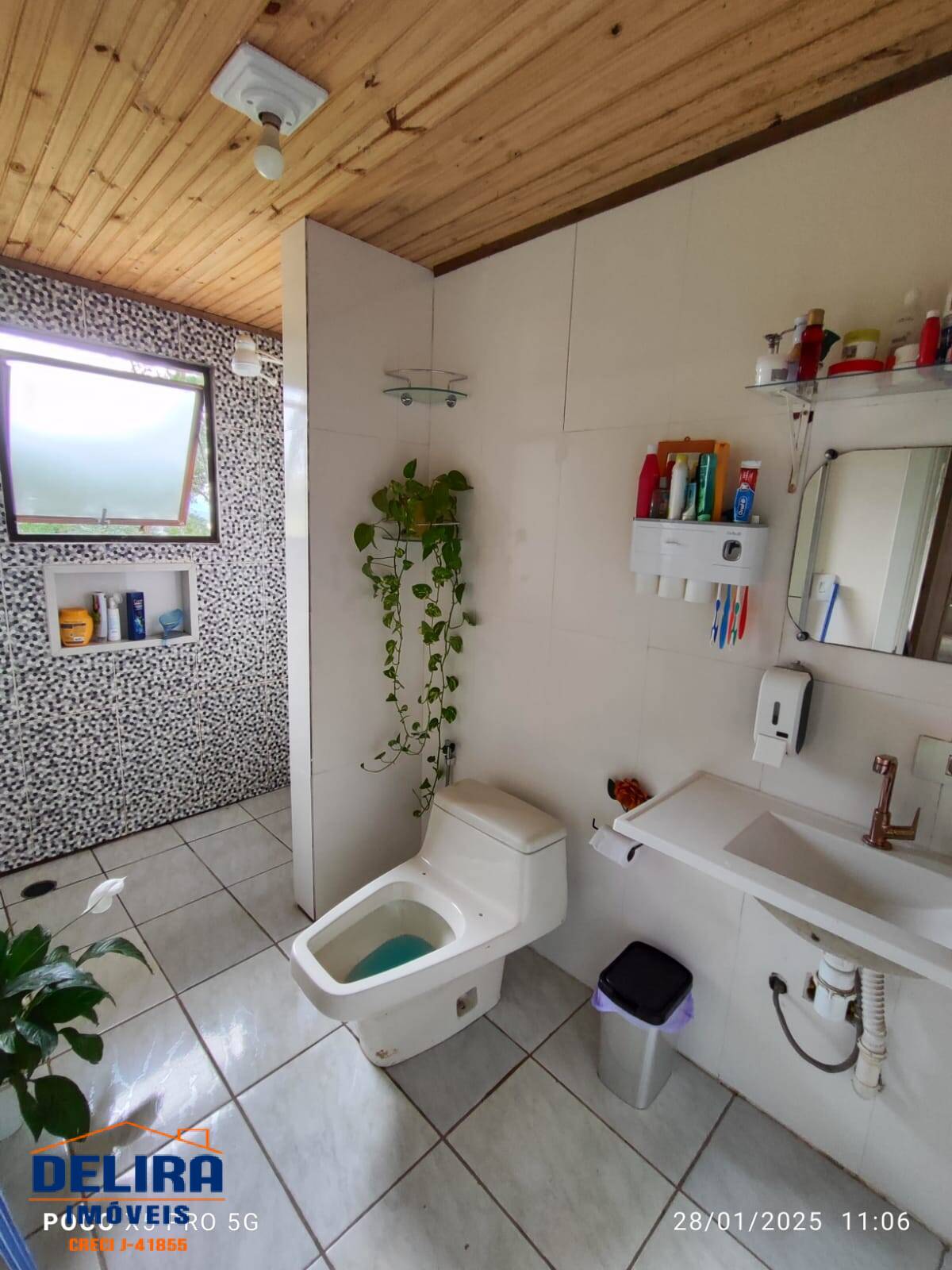 Sítio, 2 quartos, 785 m² - Foto 24