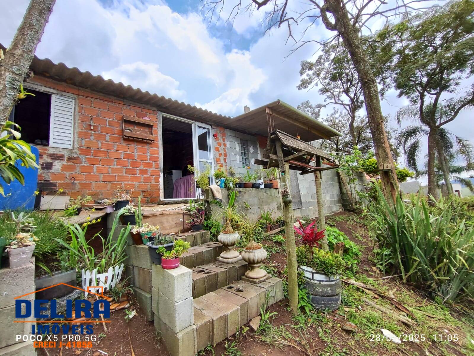 Sítio, 2 quartos, 785 m² - Foto 1