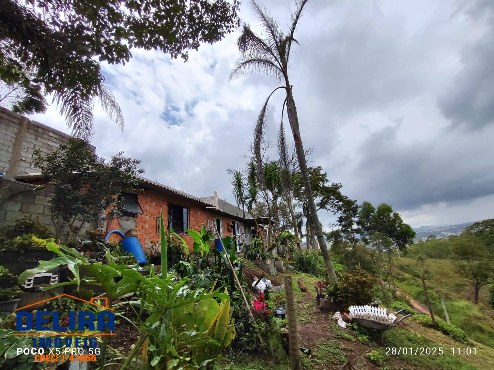 Sítio, 2 quartos, 785 m² - Foto 8