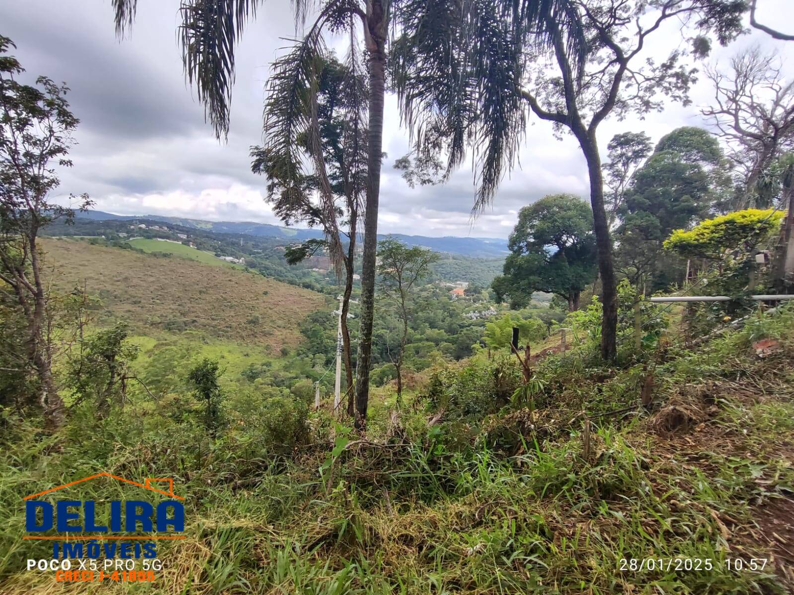 Sítio, 2 quartos, 785 m² - Foto 4