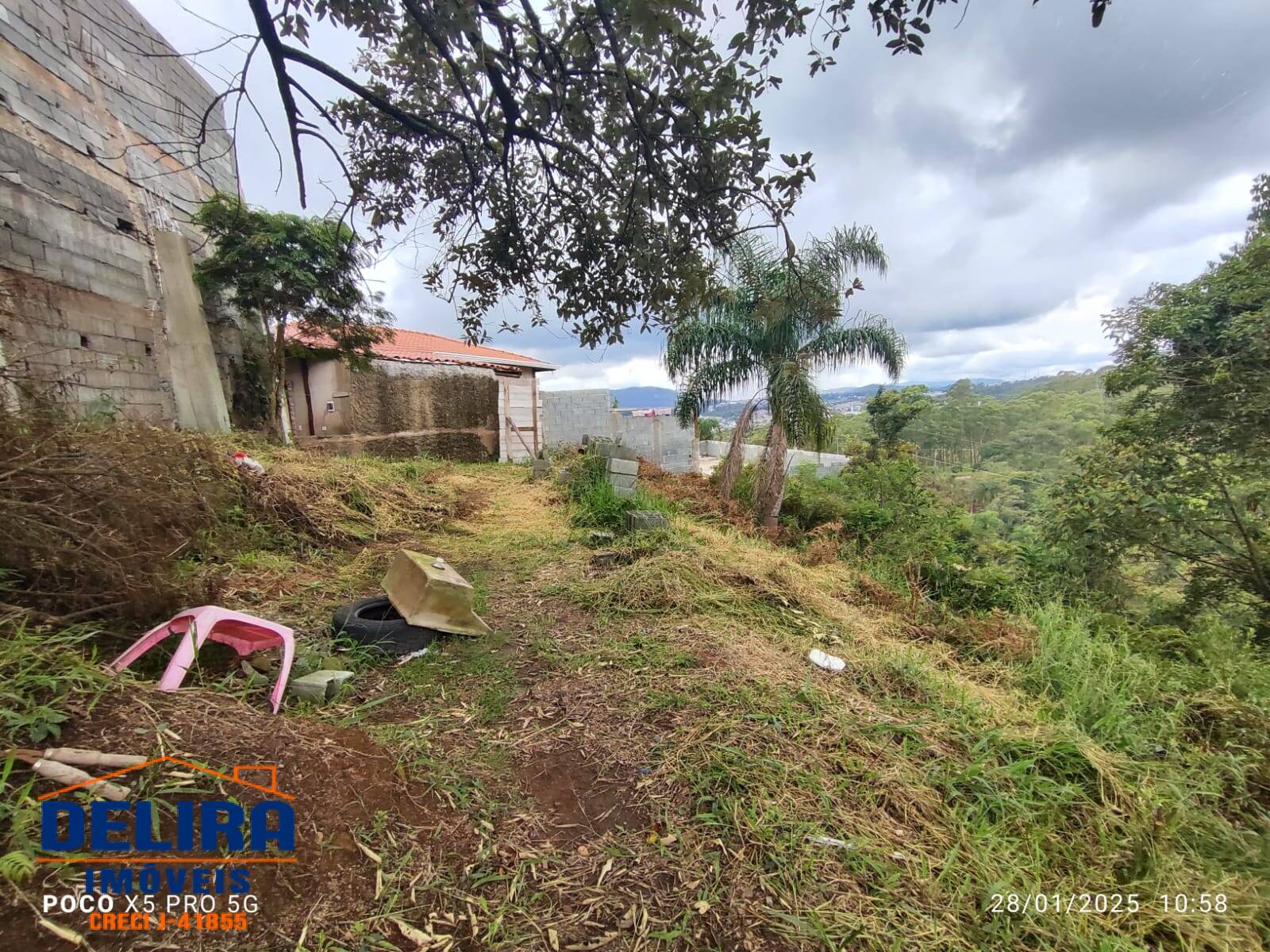 Sítio, 2 quartos, 785 m² - Foto 3