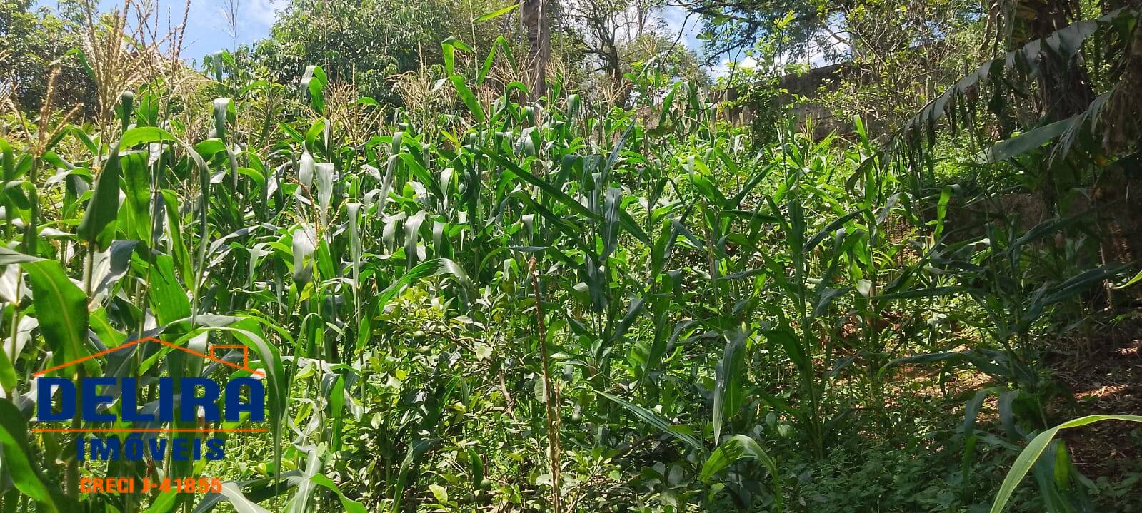 Terreno, 1358 m² - Foto 6