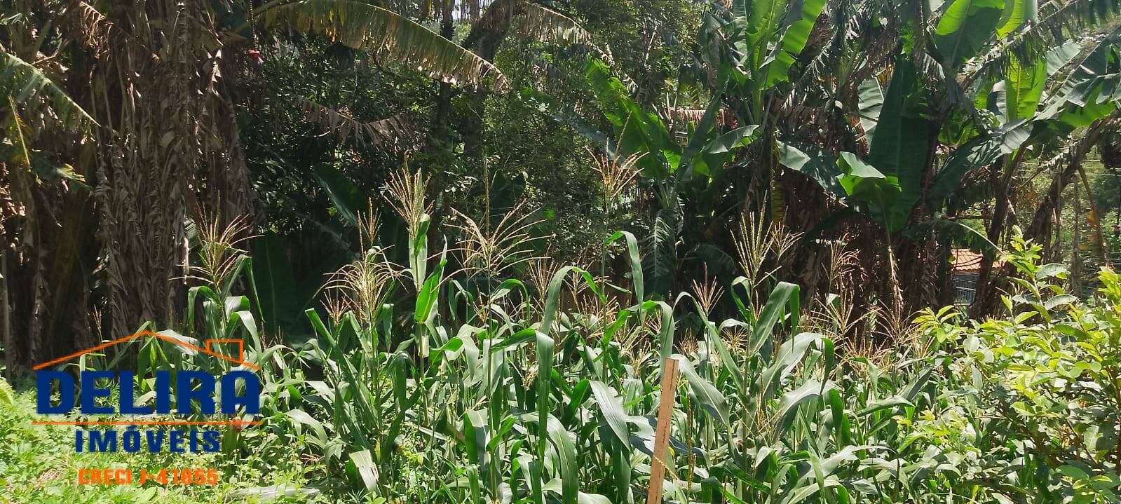 Terreno, 1358 m² - Foto 9