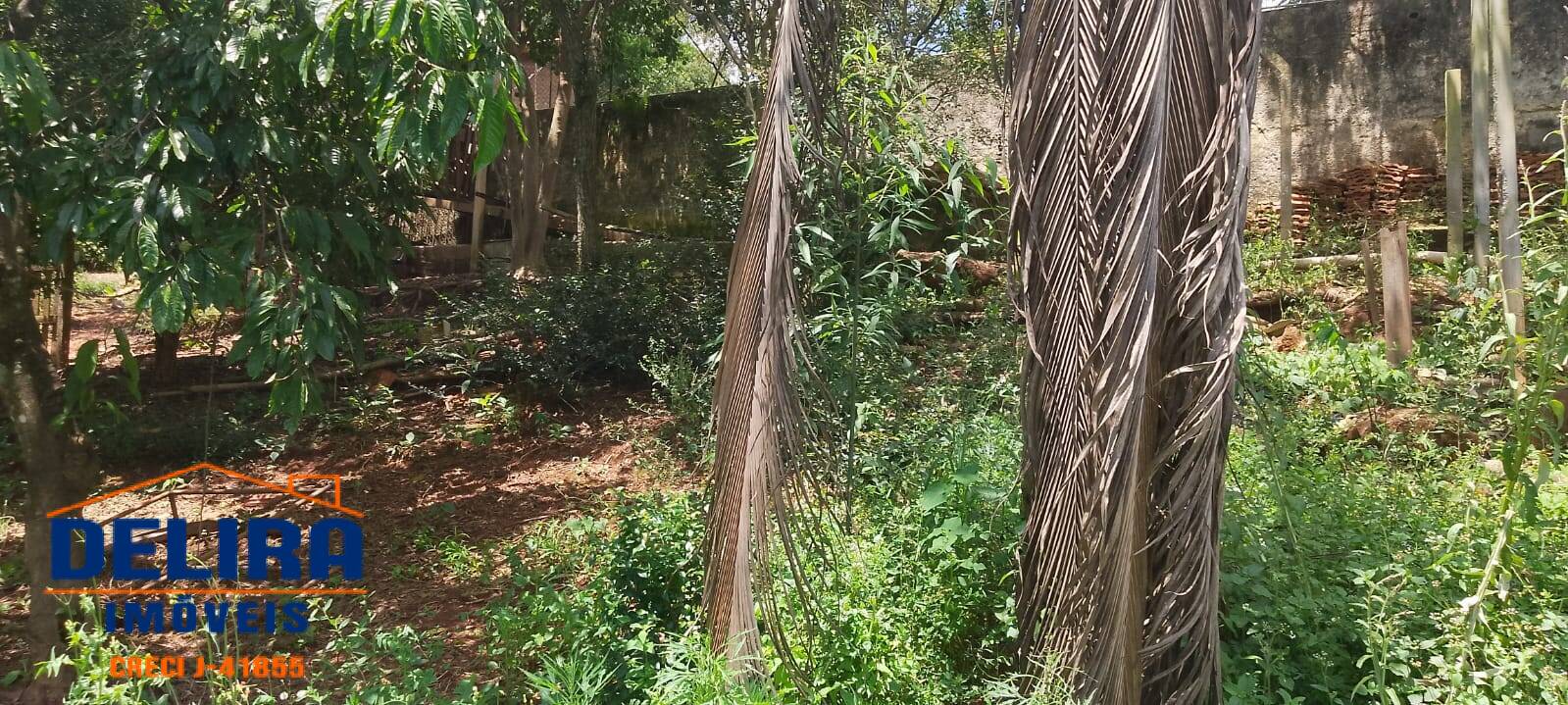 Terreno, 1358 m² - Foto 12