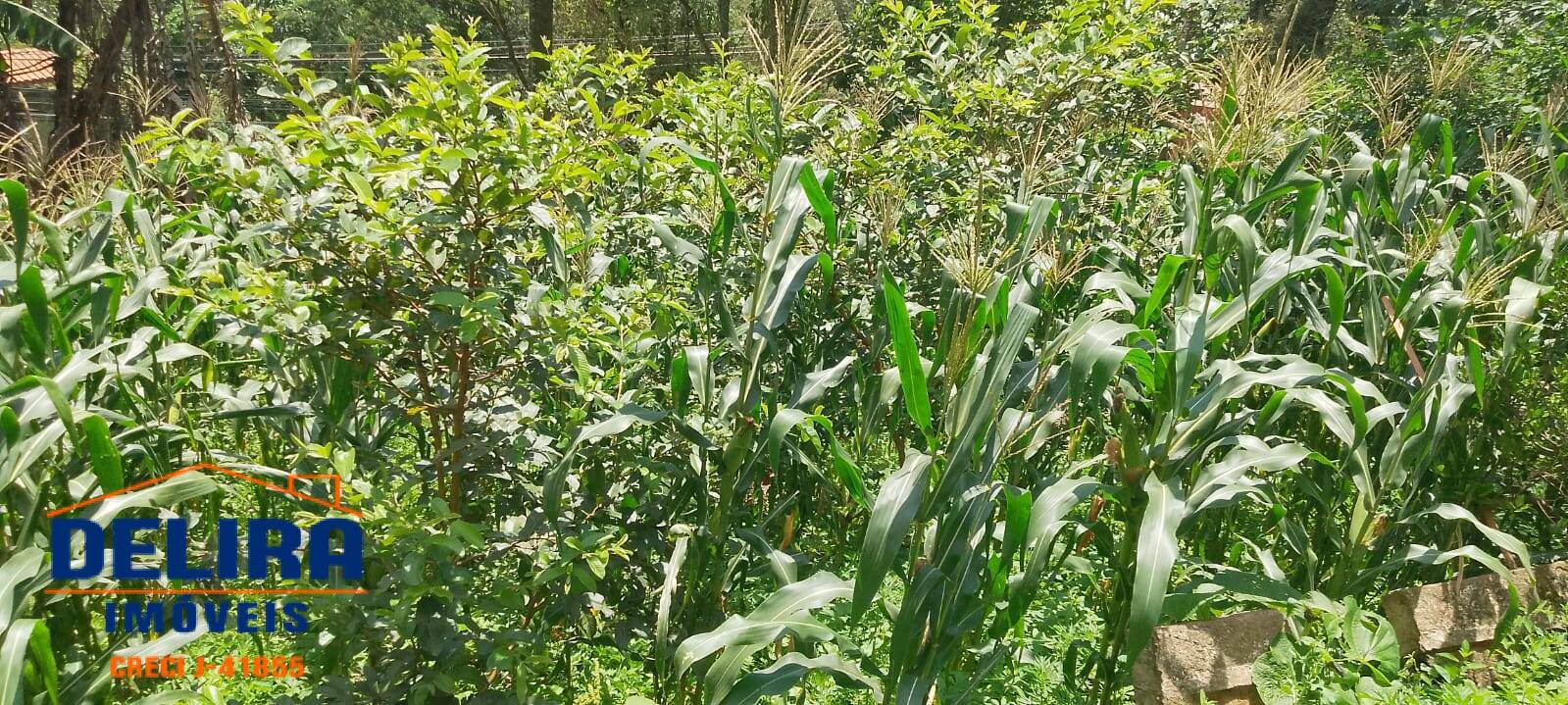 Terreno, 1358 m² - Foto 14