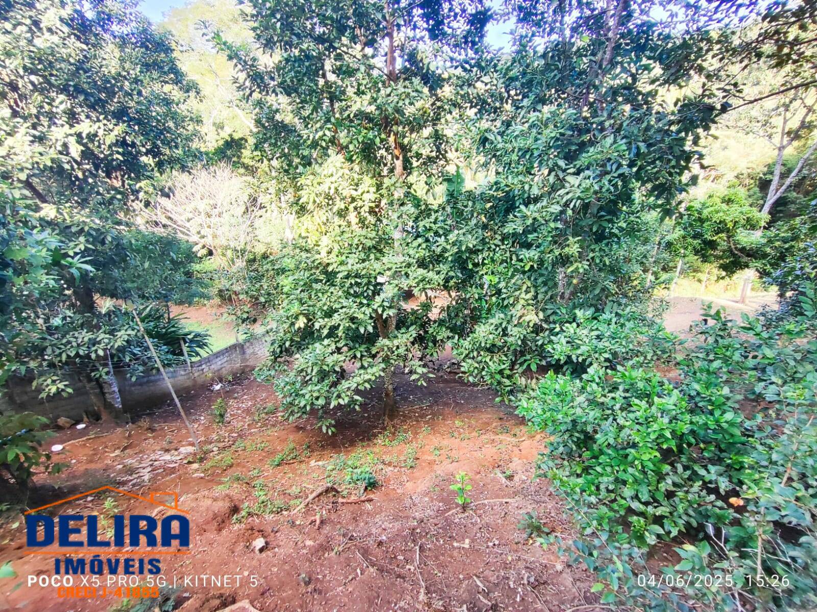 Chácara à venda com 4 quartos, 3600m² - Foto 17
