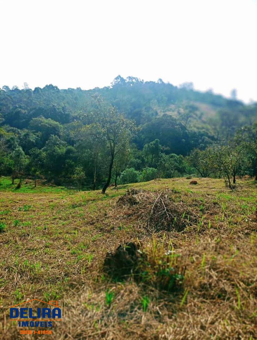 Terreno, 1000 m² - Foto 4