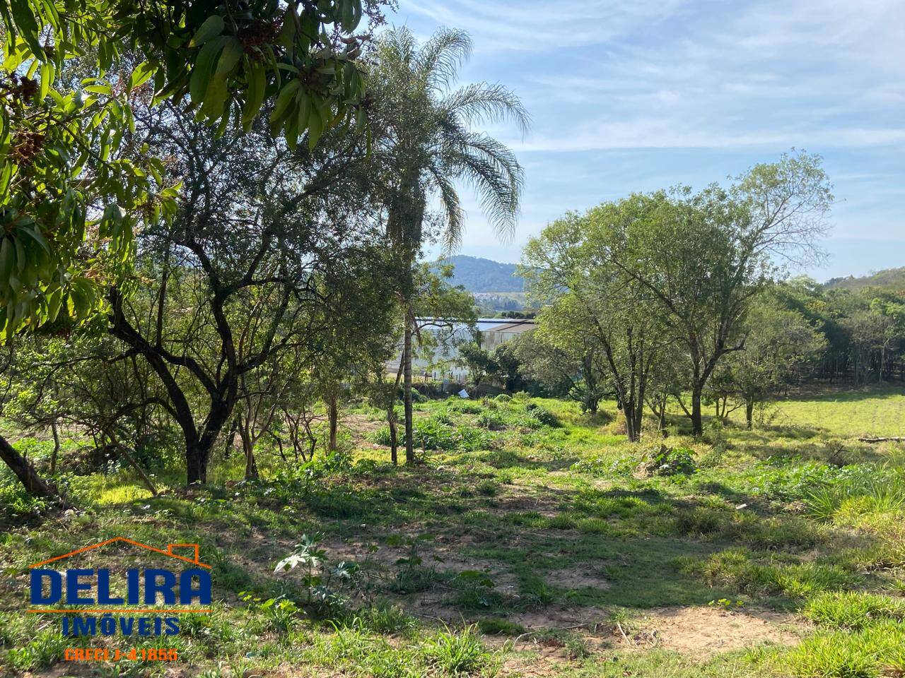 Terreno, 3 hectares - Foto 5