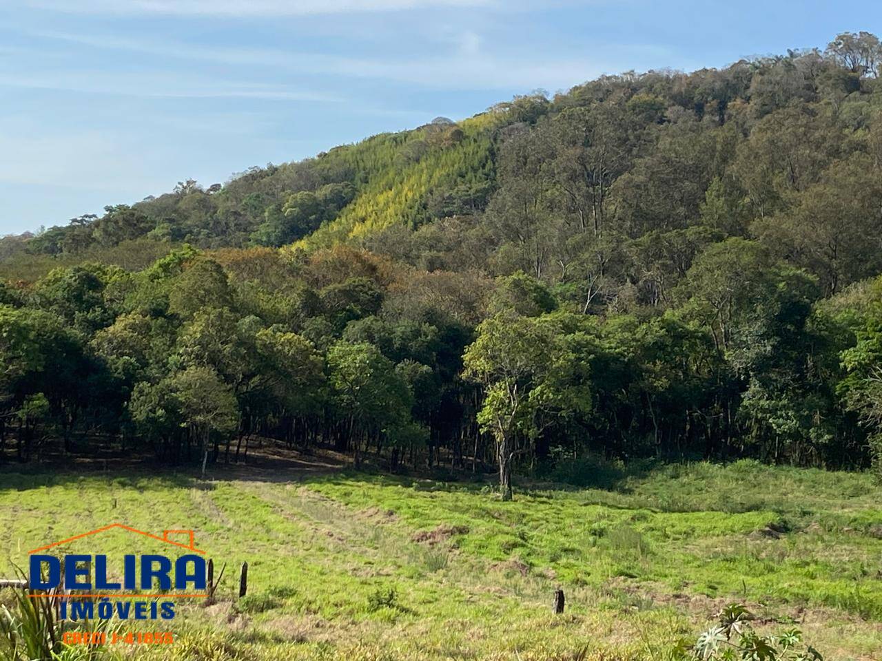 Terreno, 3 hectares - Foto 7